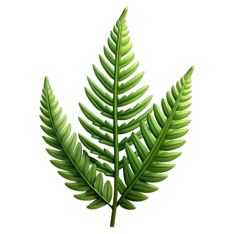 wonderful abstract Fern Frond Silhouette with Transparent Background Cutout professional png