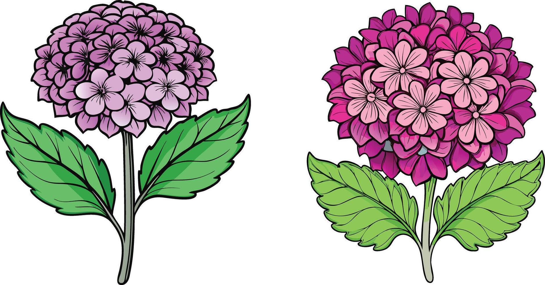 Two flowers with leaves and flowers on a white background vector