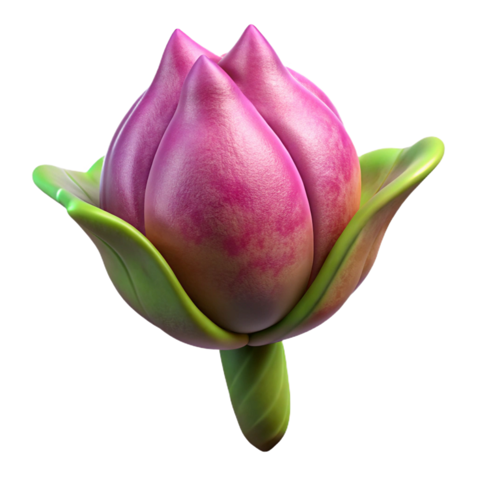 extraordinary traditional Flower Bud Isolated with Side View Angle high resolution png