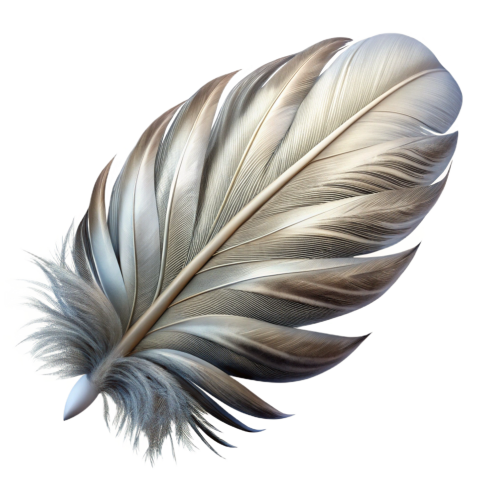 vibrant traditional Fractal Vr Feather with White and Grey Plumage Isolated high resolution png