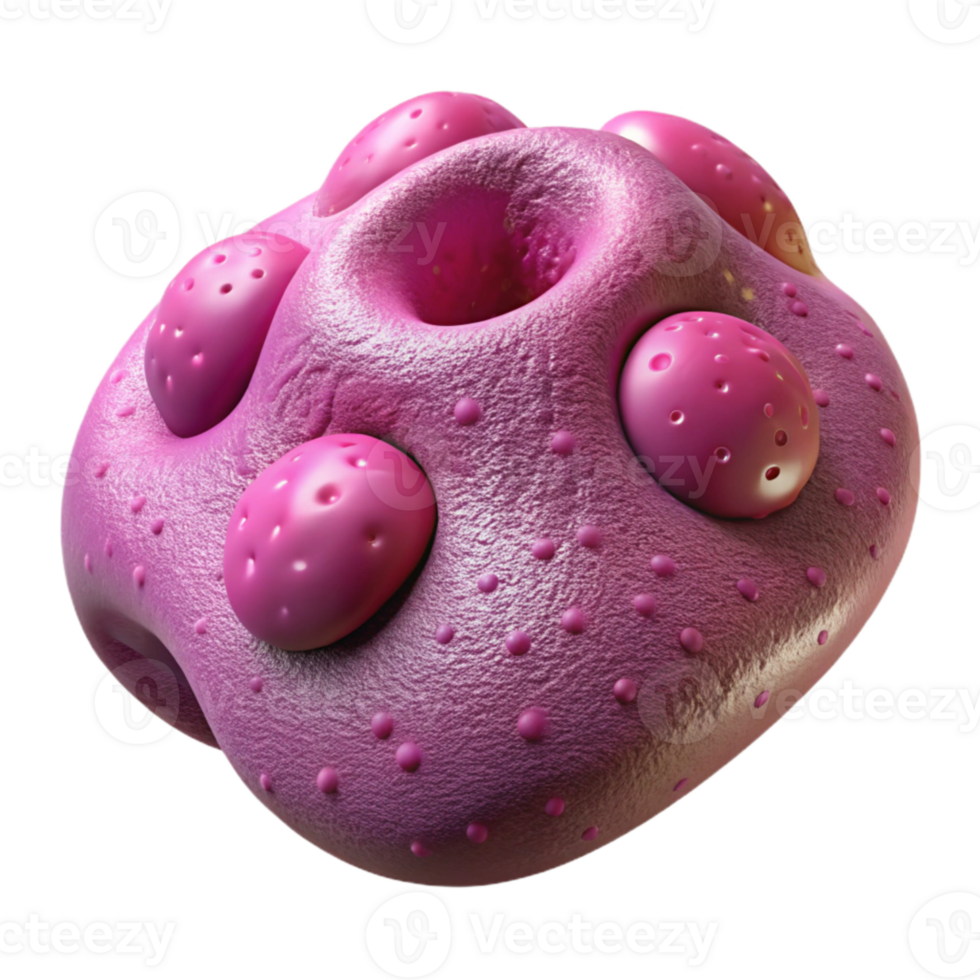 stunning vintage Fuchsia Artificial Golgi Apparatus Isolated Element high resolution png