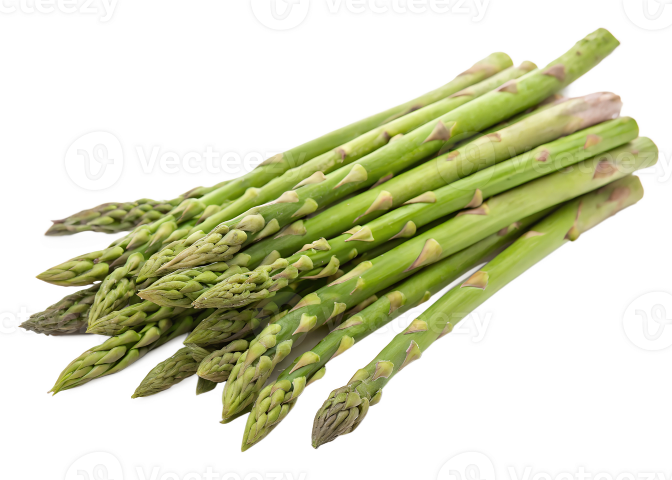 Fresh asparagus spears ready for cooking png