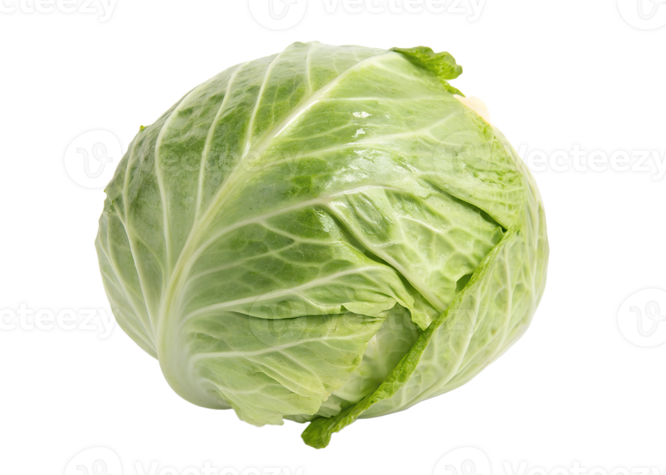 Fresh green cabbage ready for cooking and salads transparent png