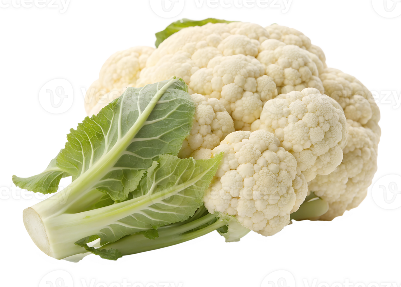 Fresh cauliflower harvested from the garden png