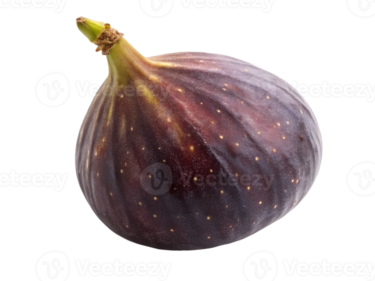 Fresh fig on a white background ready for eating png