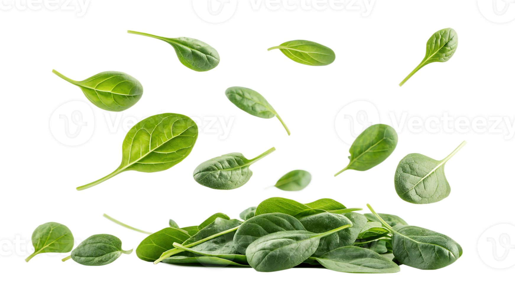 Floating spinach leaves form a striking display png