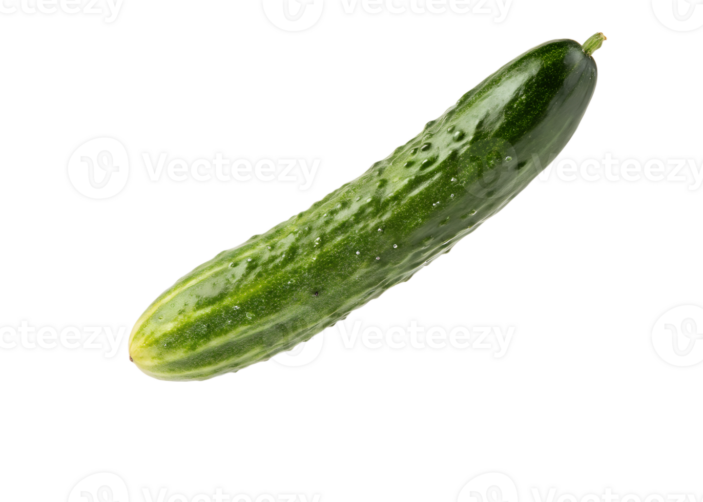 Fresh cucumber on a white background png