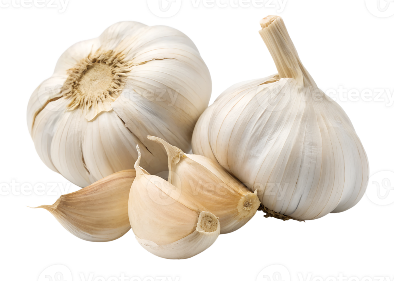 Fresh garlic bulbs and cloves on white background png