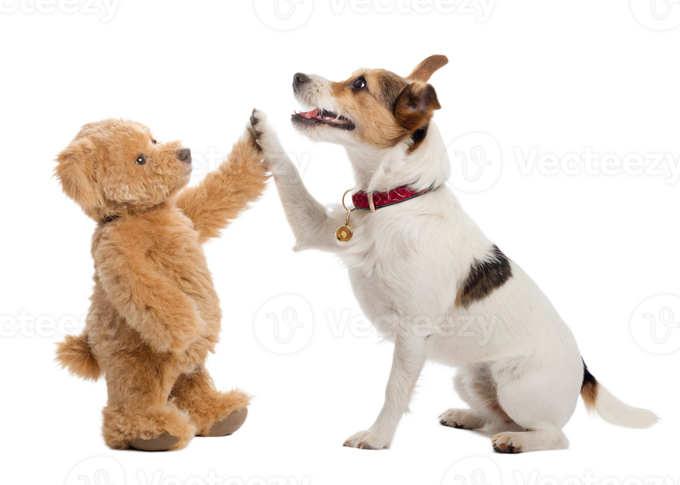 Dog and teddy bear share a playful moment together png