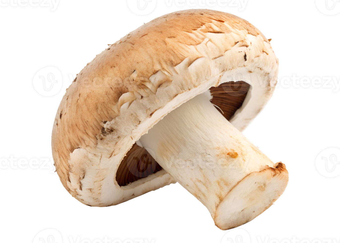 Fresh mushroom ready for culinary use in cooking png