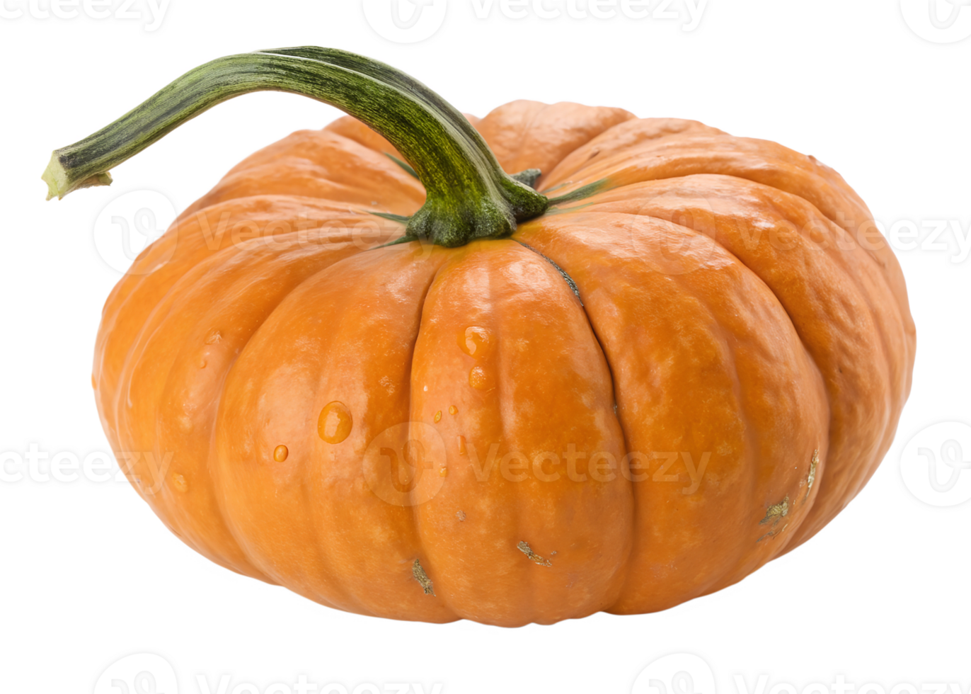 Bright orange pumpkin with textured skin png