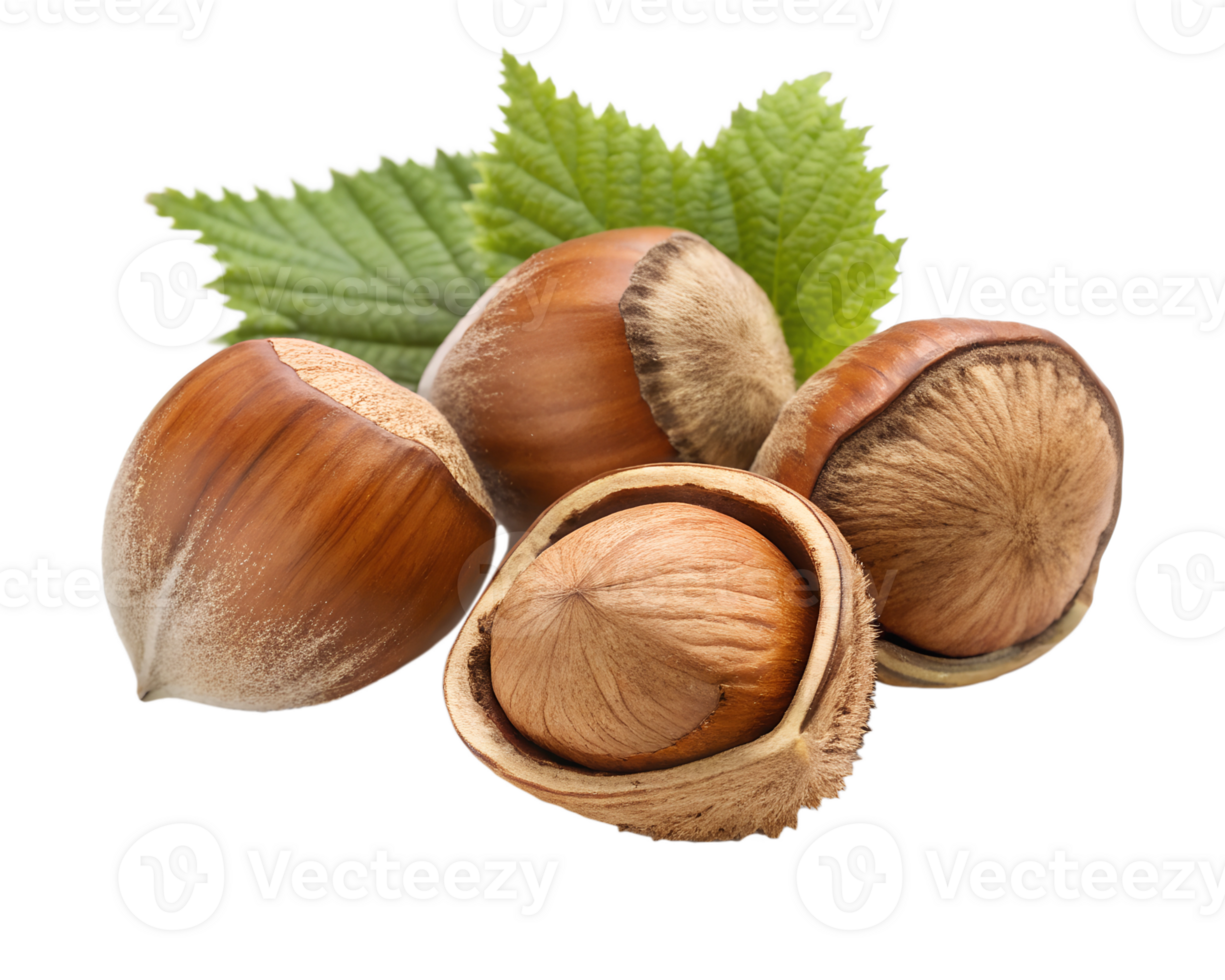 Fresh hazelnuts with leaves on a white background png