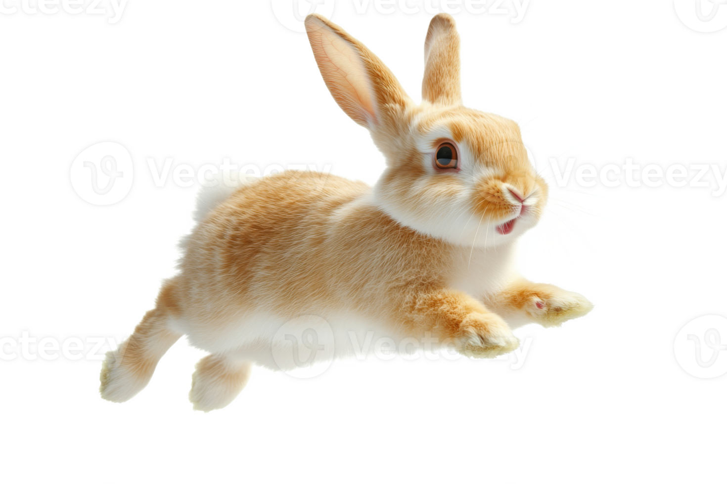 Rabbit jumps in midair against a white background png