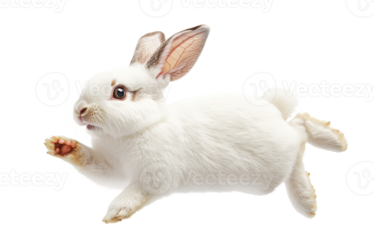 White rabbit hopping joyfully in motion png