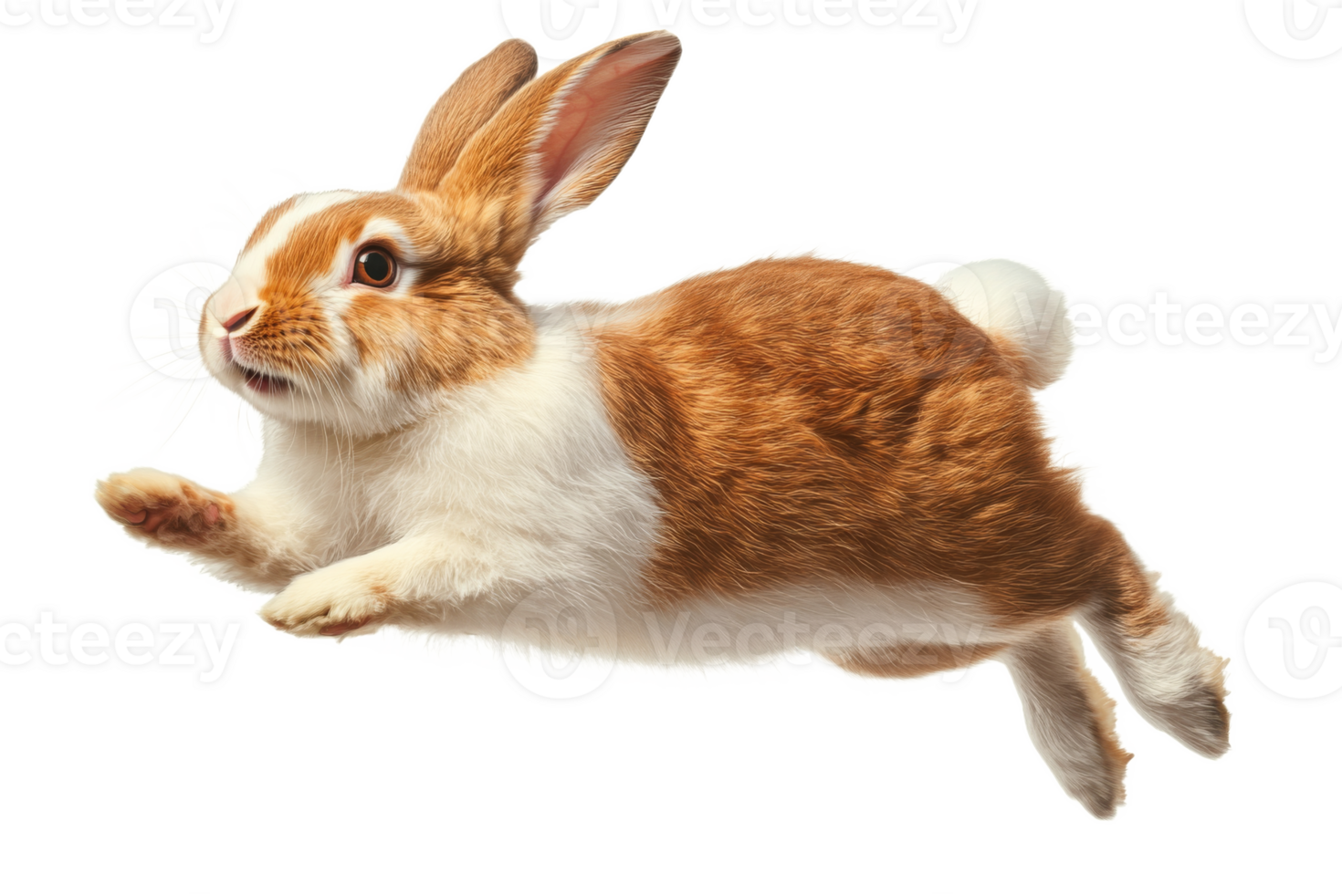 Rabbit enjoying a joyful leap in the air png