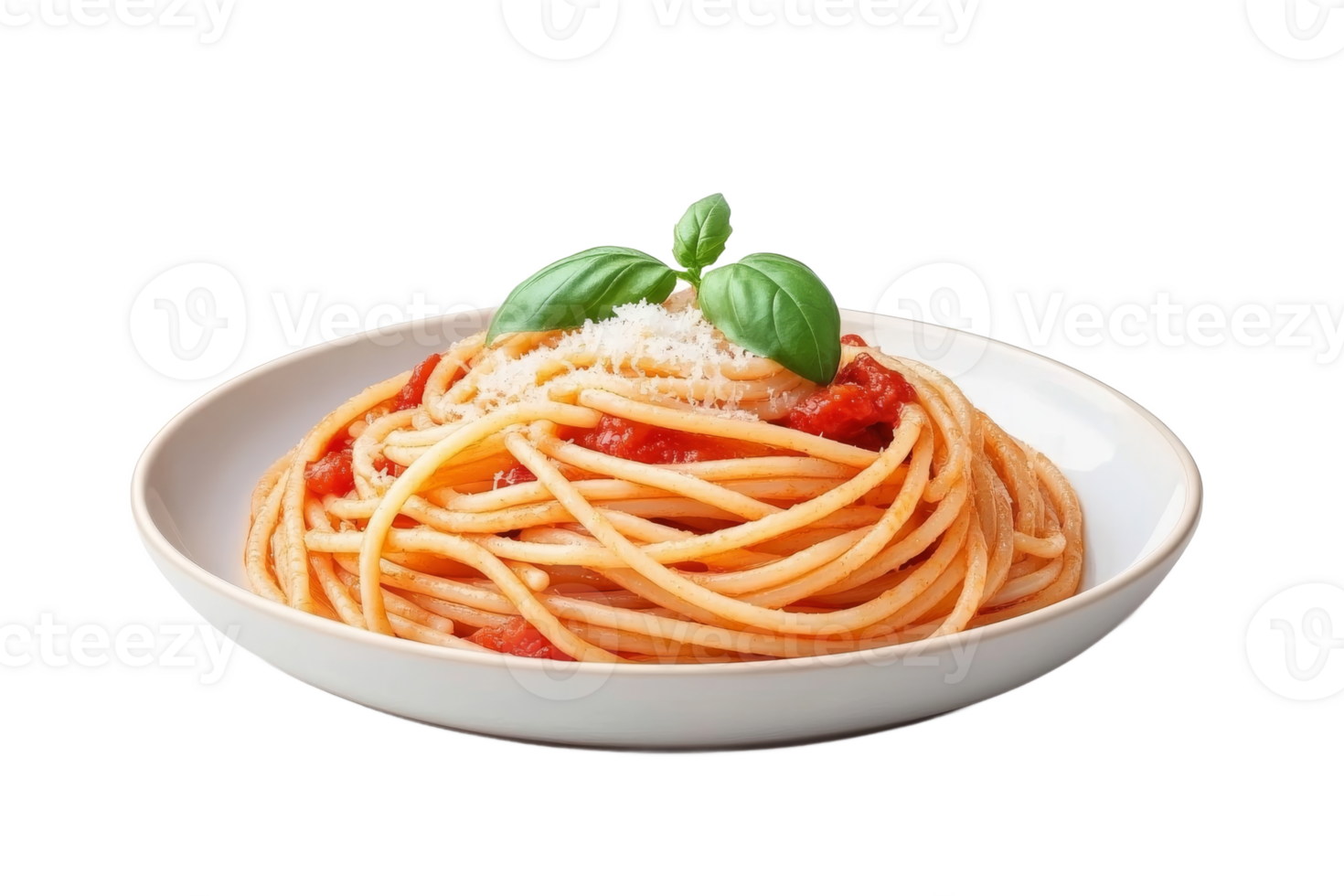 Delicious spaghetti with tomato sauce and basil png