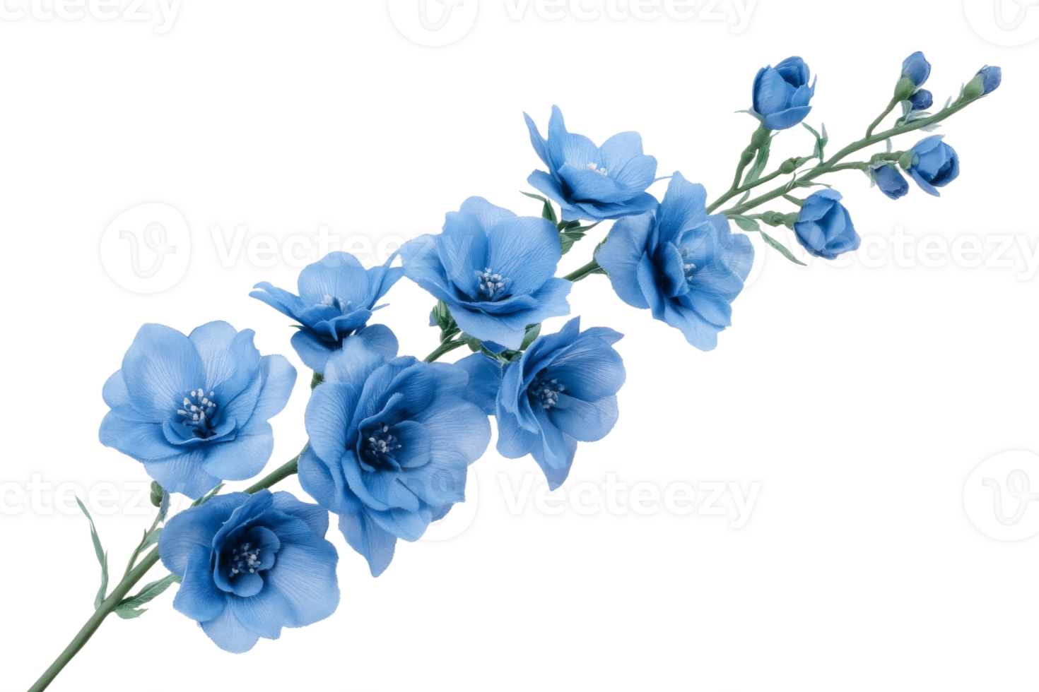 Delicate blue flowers arranged elegantly for decor png