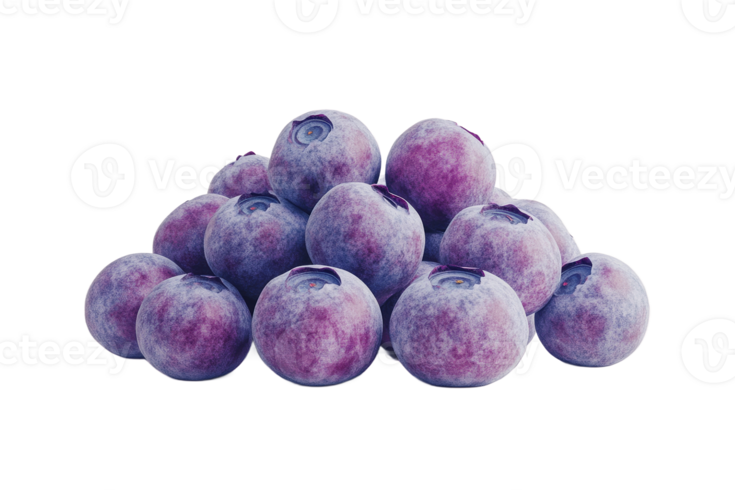 Fresh blueberries arranged in a colorful heap png