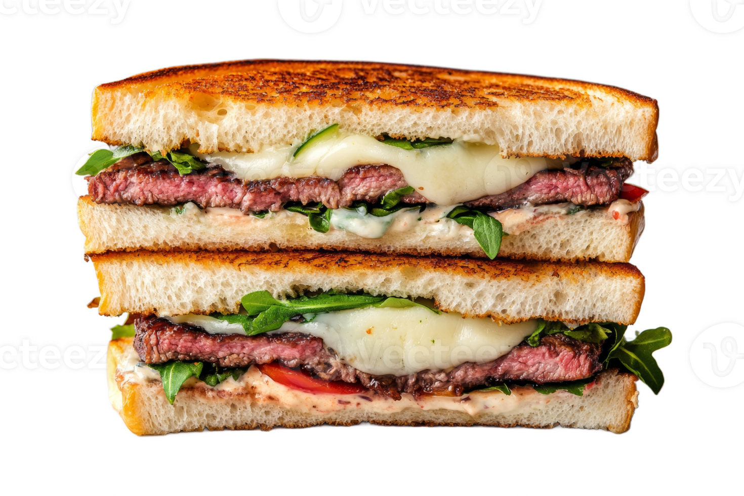 Grilled steak and cheese sandwich png