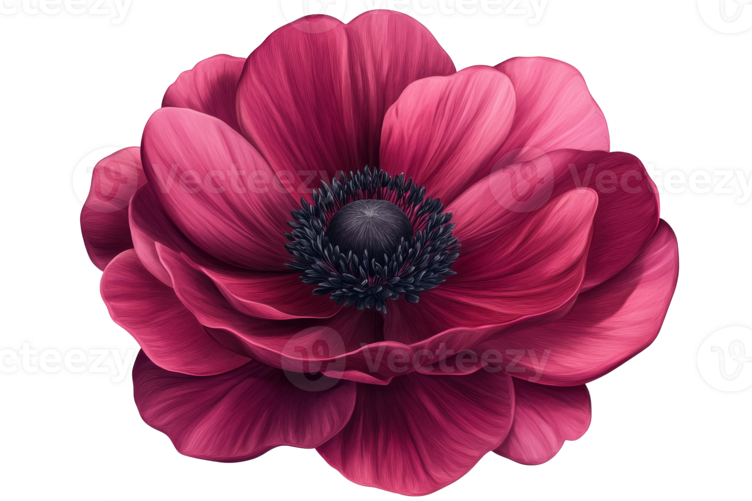 Intricate pink flower with delicate petals png