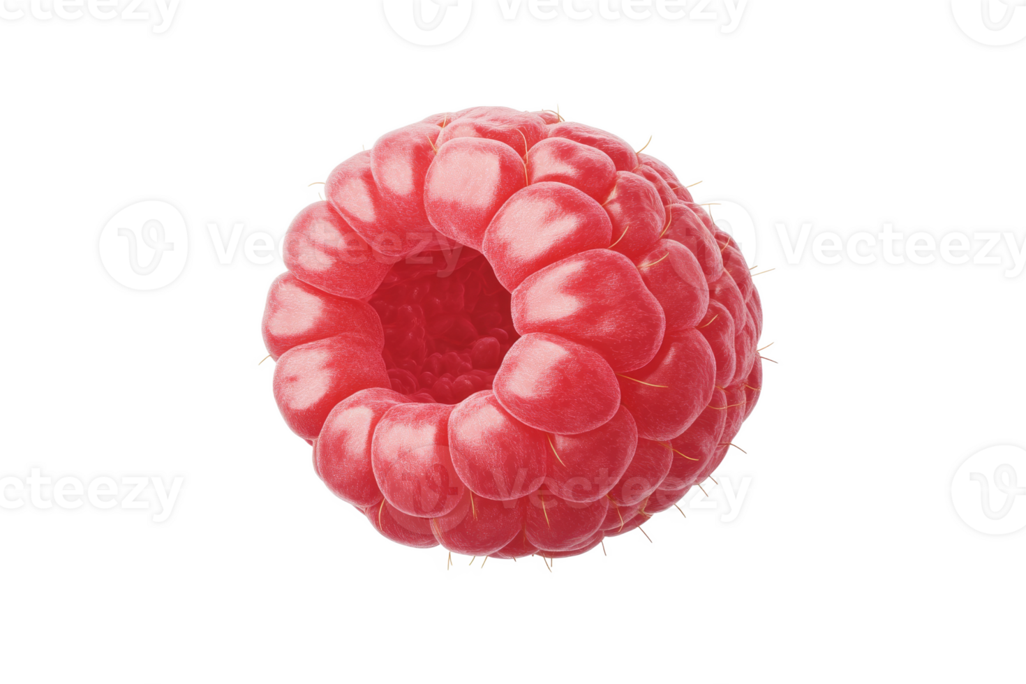 Fresh raspberry with unique hollow center detail png
