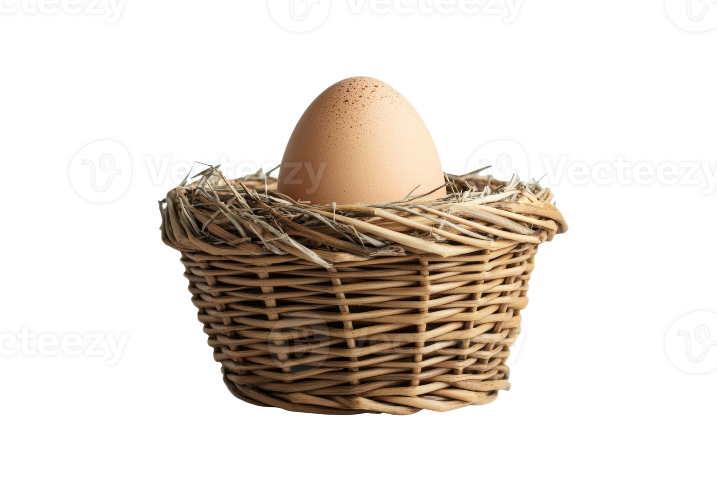 Nest with a single egg resting inside basket png