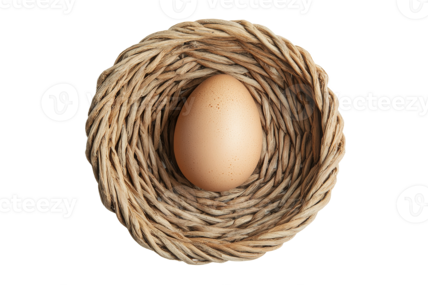 Egg in woven nest on neutral background png