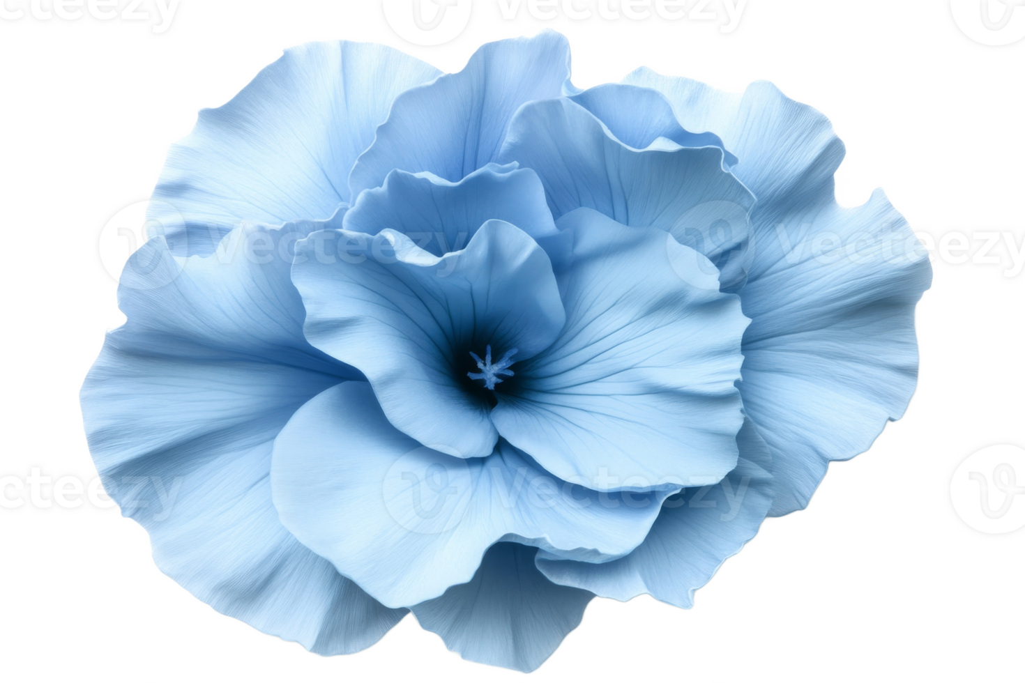 Beautiful blue flower showcasing delicate petals png