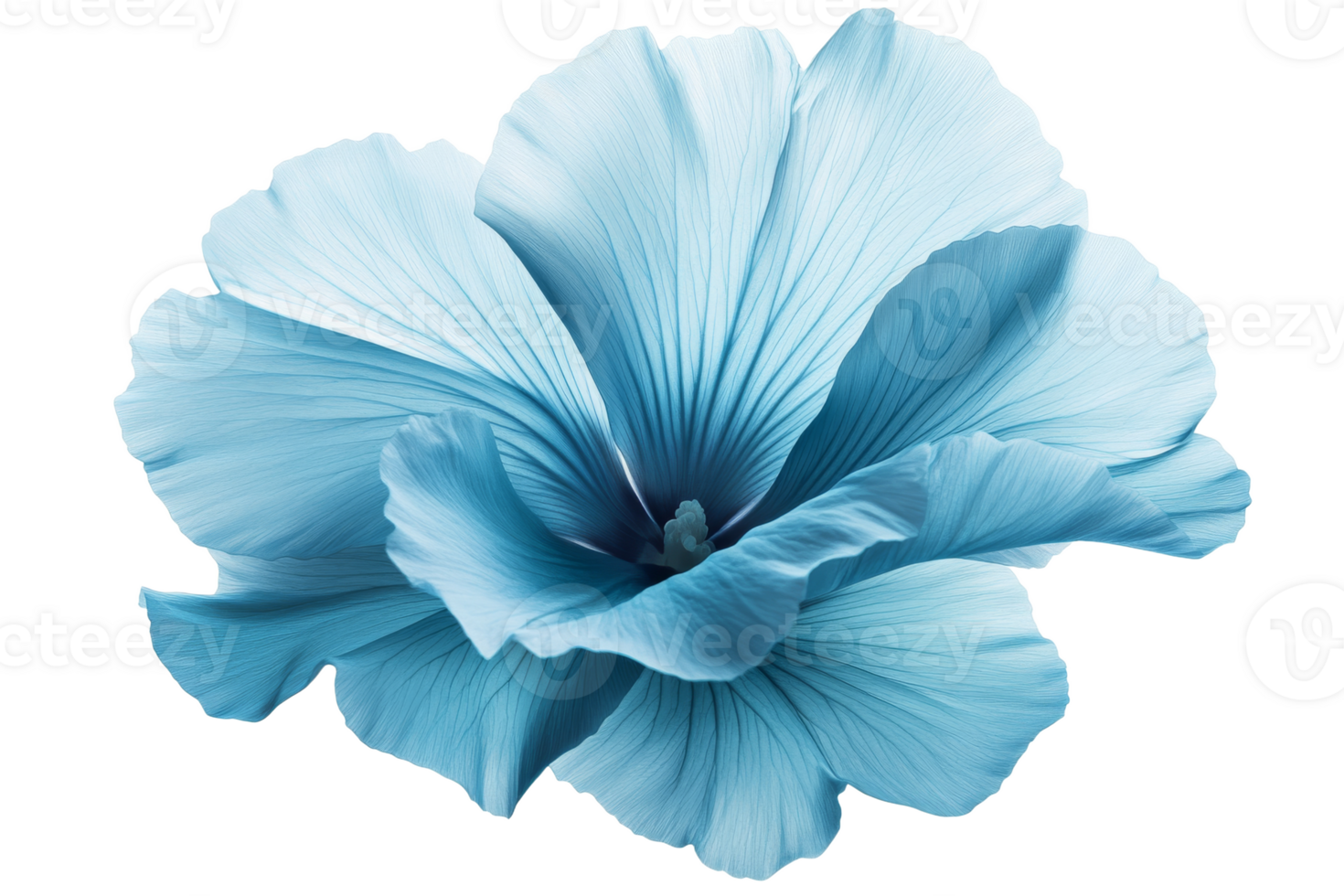 Blue flower with delicate petals in full bloom png