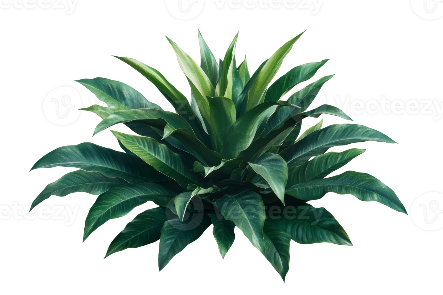 Vibrant green plant with bright leaves png