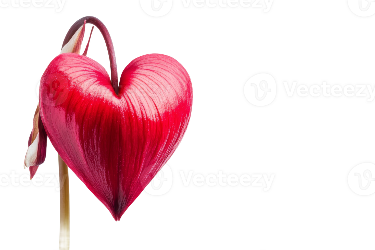 Heart shaped flower in vibrant red color png