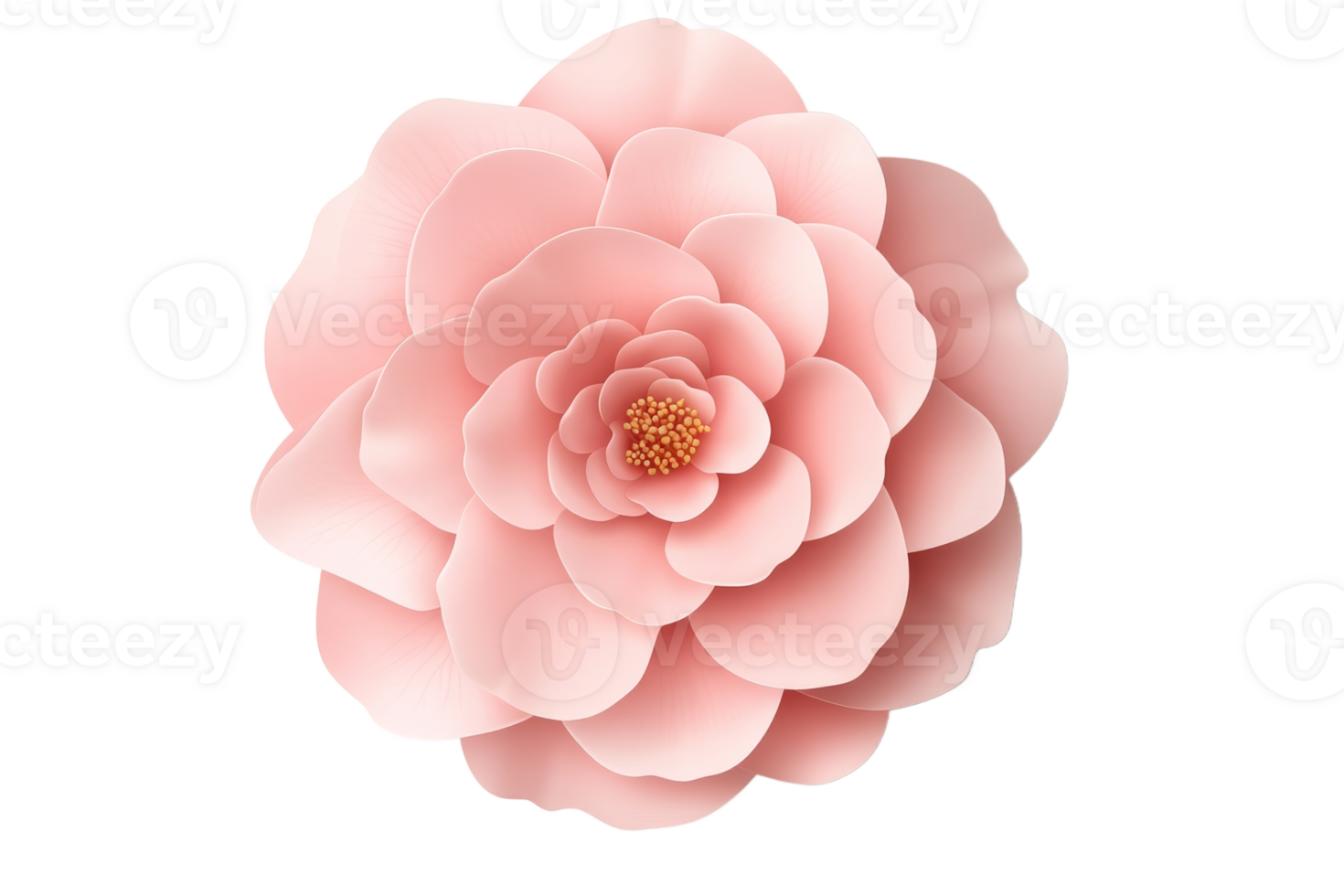 Elegant pink flower with layered petals in bloom png
