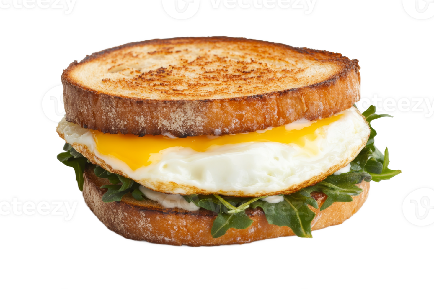 Delicious egg sandwich with fresh greens and toast png