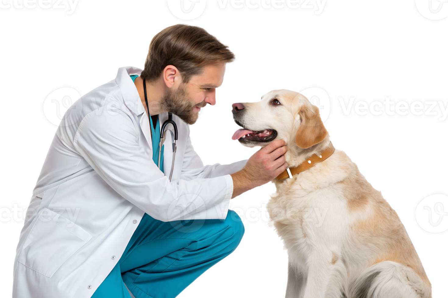 Vet interacts with friendly dog during checkup png