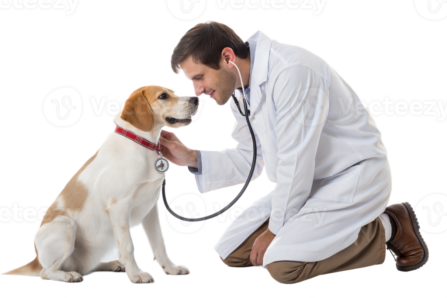Veterinarian checks a dogs health during an exam png