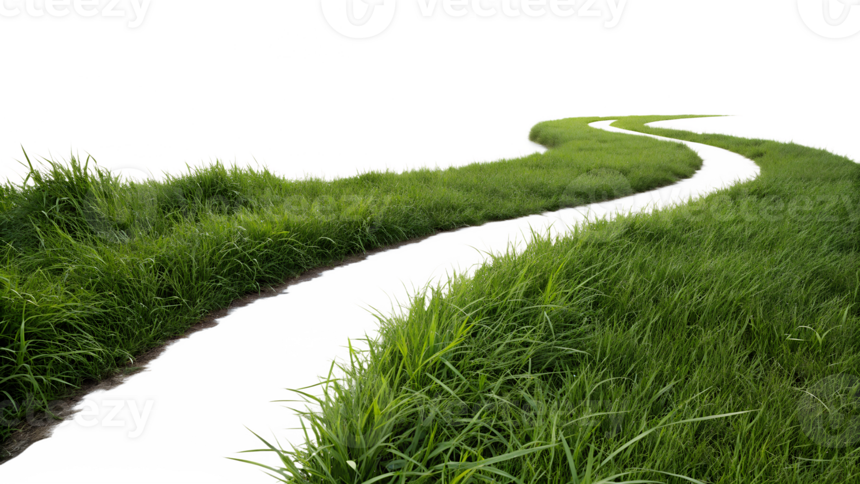 Winding path through lush green grass landscape png