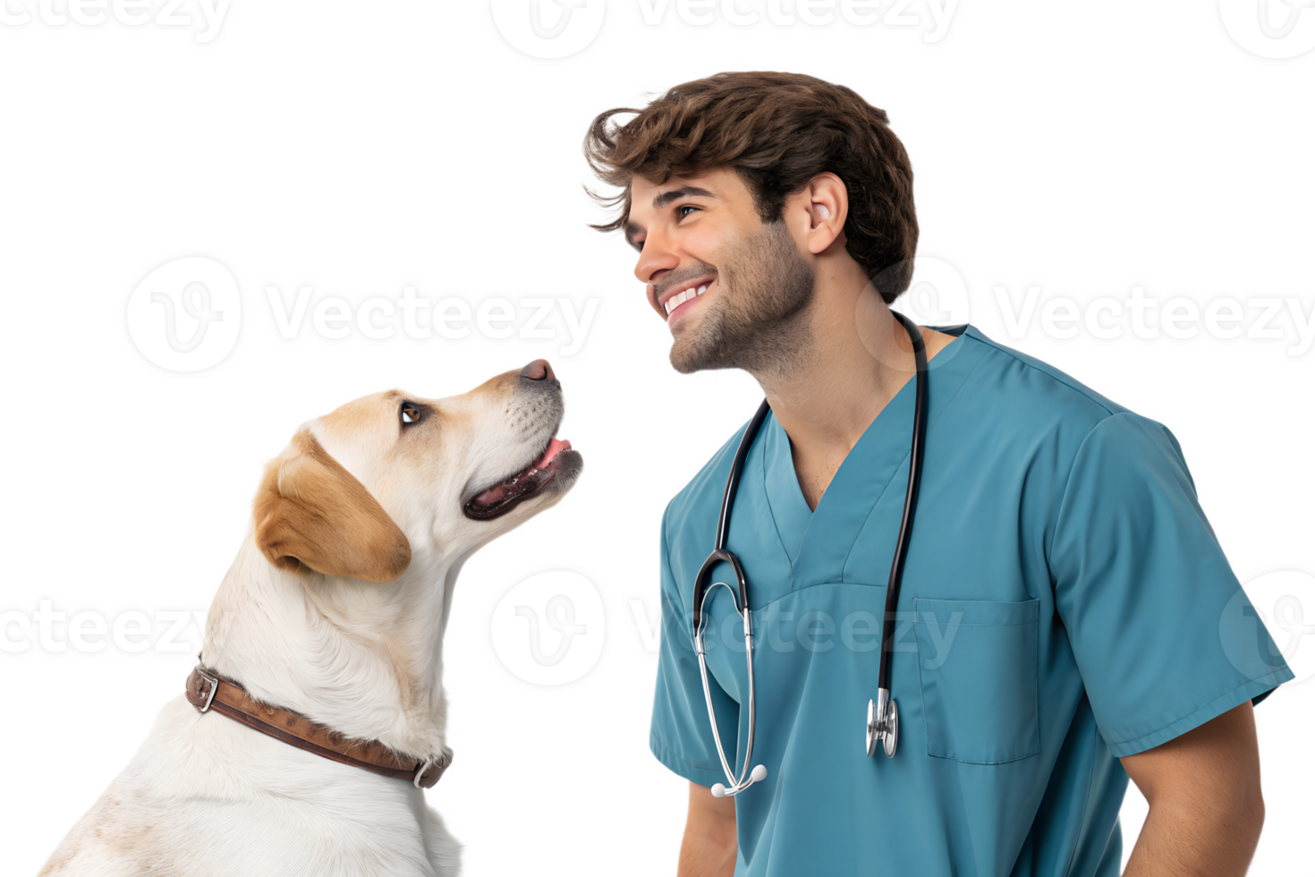 Smiling veterinarian interacts with a friendly dog png