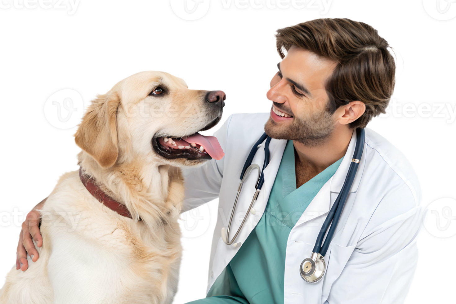 Vet smiles with golden retriever png