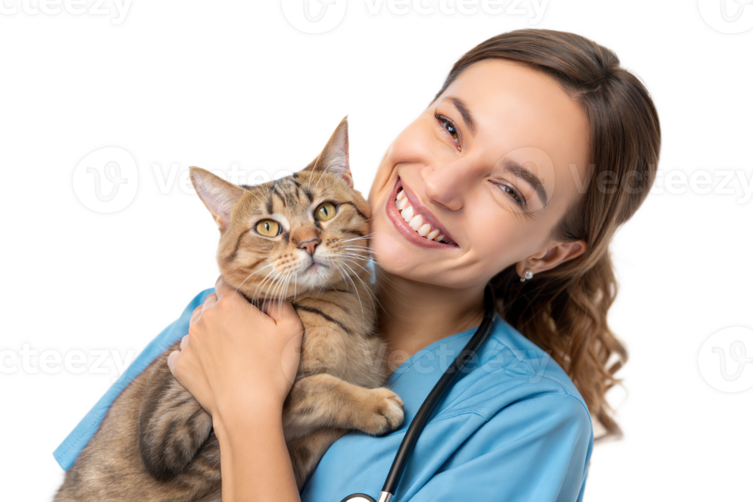 Vet technician happily holds a cat in care setting png