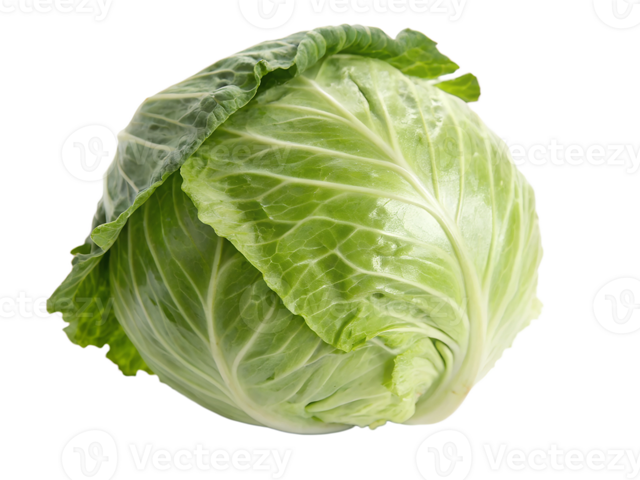 Fresh green cabbage with crisp leaves at market png