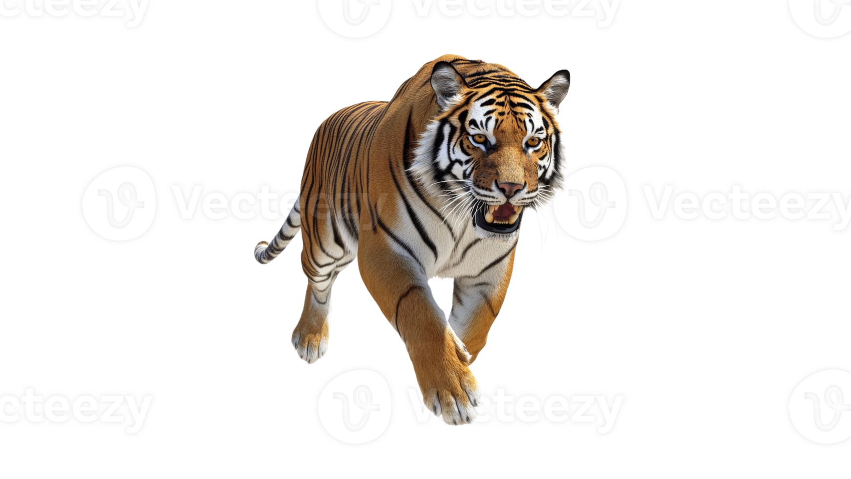 Majestic tiger prowls through its natural habitat png
