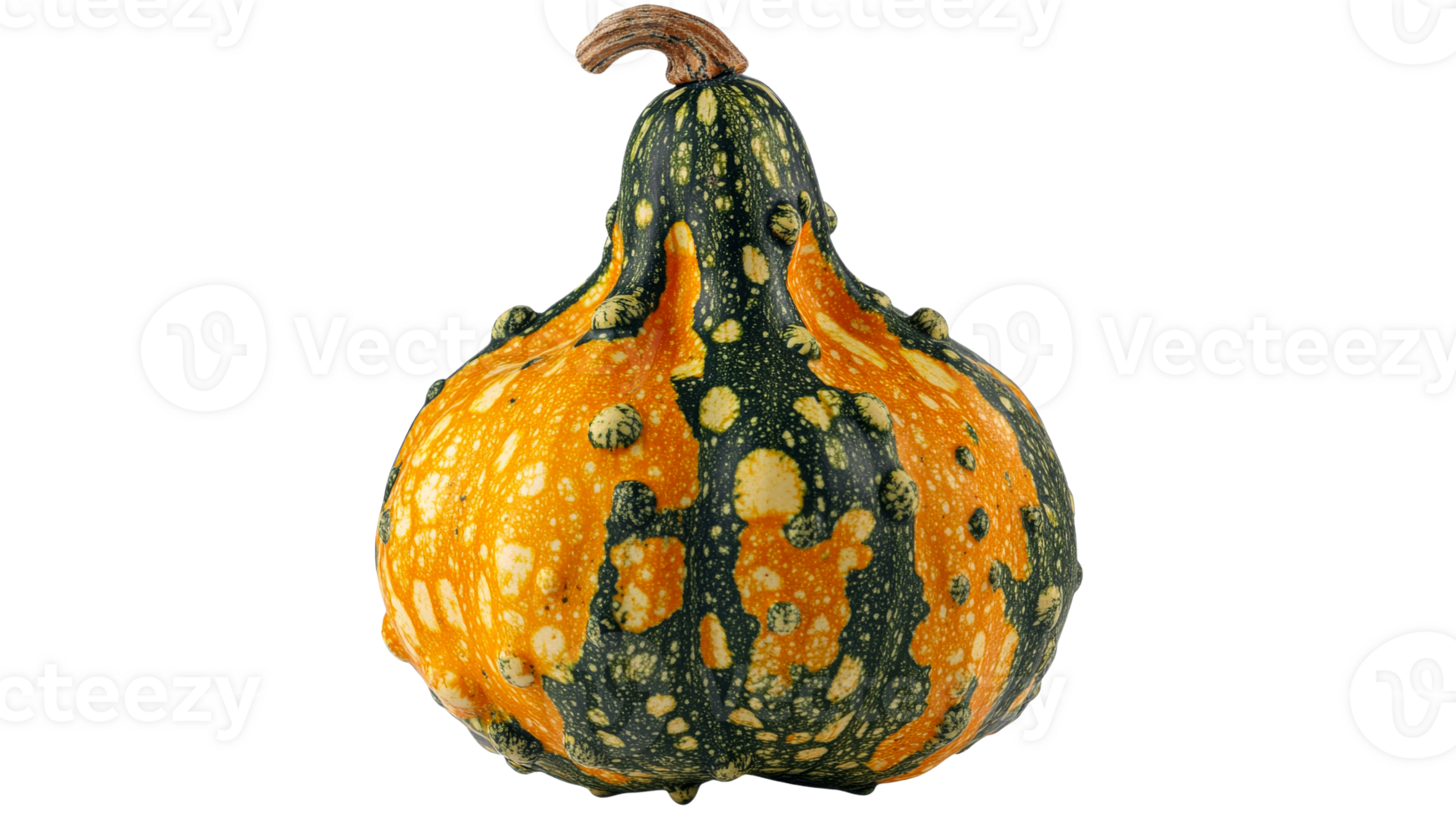 Colorful gourd with unique texture and shape png