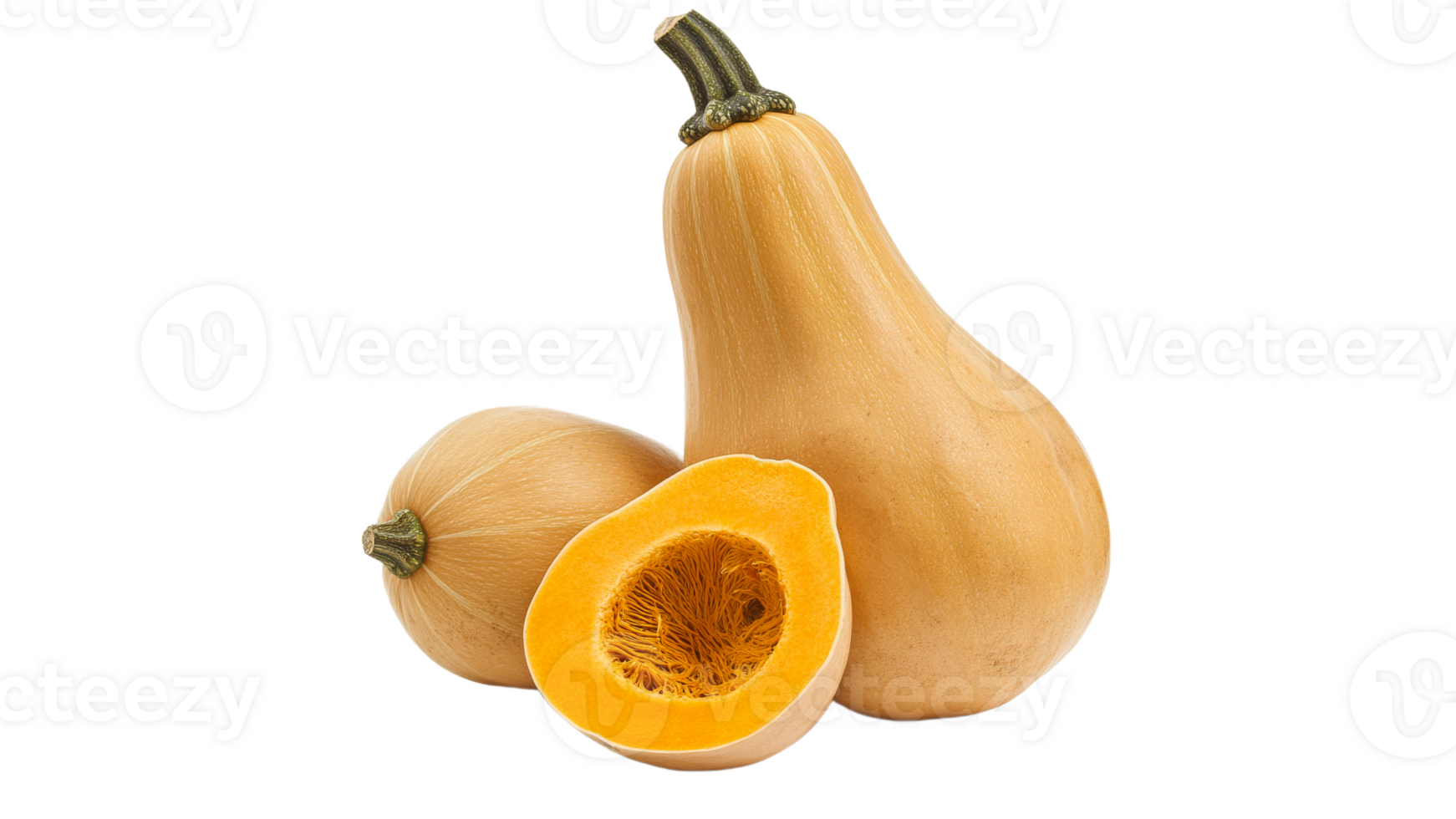 Fresh butternut squash on a white background png