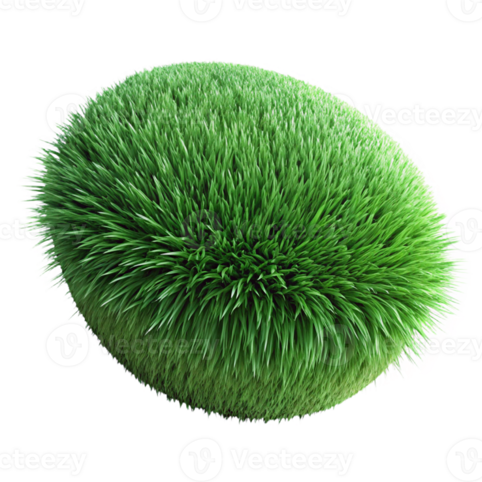 dramatic minimalist Grass Texture Close Up Green Isolated png