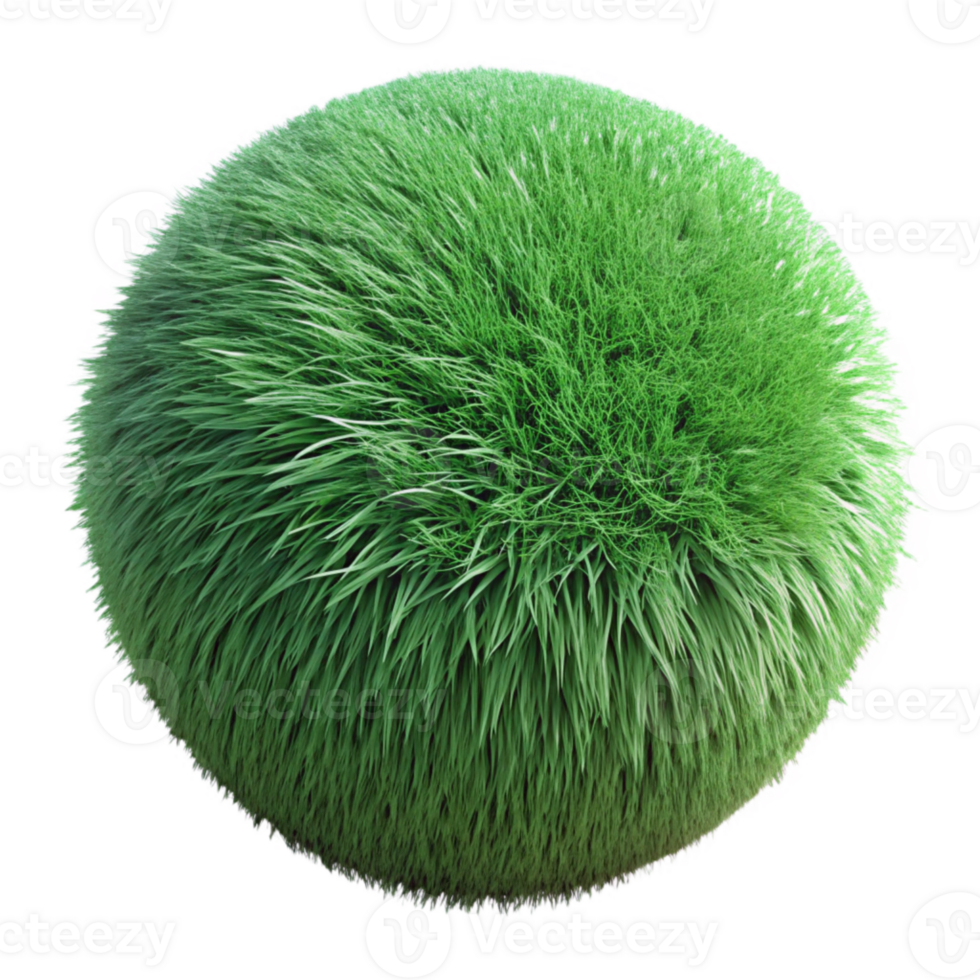 elegant minimalist Grass Texture Close Up Green Isolated genuine png