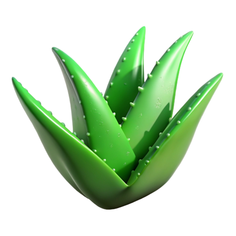 beautiful rustic Green Aloe Vera Leaf Cutout Isolated with Serrated Edges high resolution png