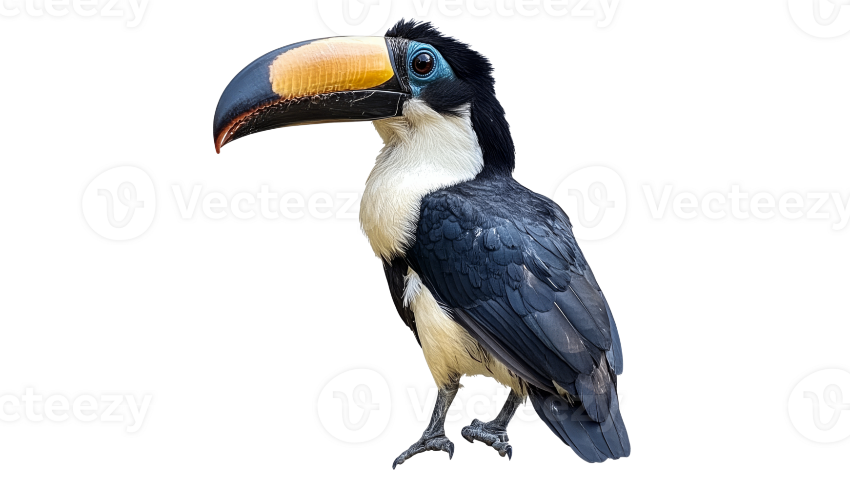 Toucan perched on a branch in nature cut out transparent background png
