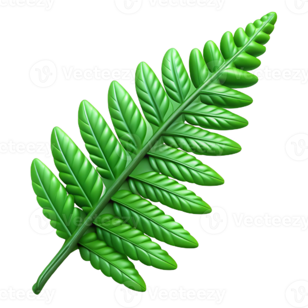 extraordinary contemporary Green Fern Frond Isolated with Delicate Details high resolution png