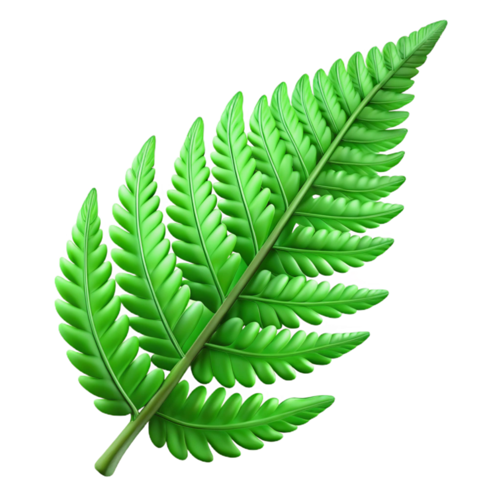 extraordinary classic Green Fern Frond Isolated with Delicate Details high resolution png