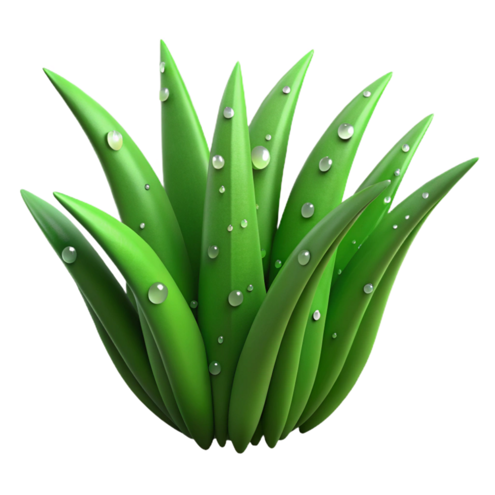 serene creative Green Grass Blades Isolated with Dewdrops exclusive png